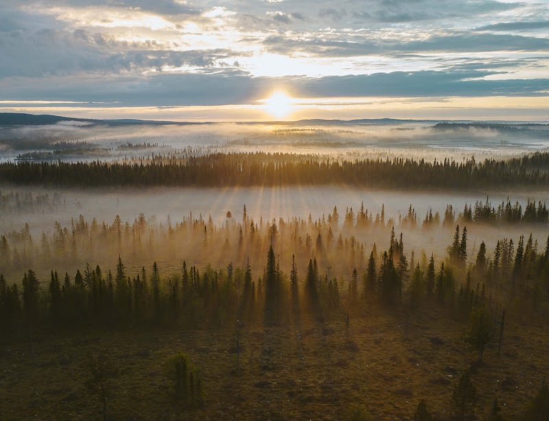 Midnight Sun Gravel Ride in Ruka Kuusamo, photo 2