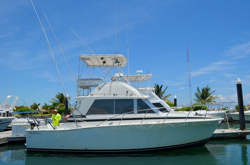 Sport Fishing in Cancún and Riviera Maya, photo 4