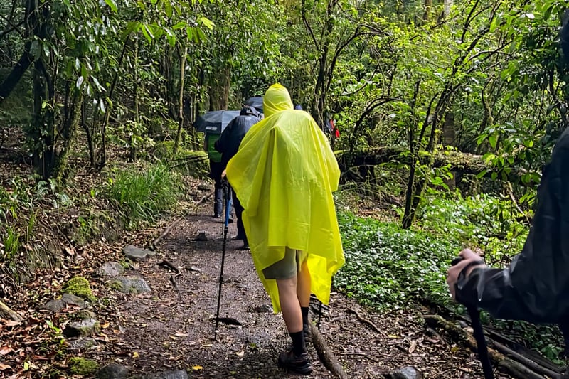 Hiking on Kilimanjaro in Moshi, photo 5