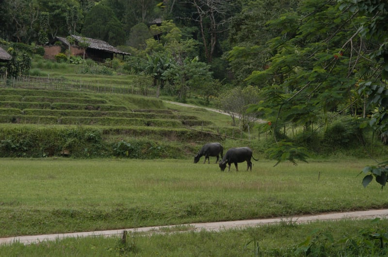 Samoeng Mountain Loop 90km Road Ride in Chiang Mai, photo 3