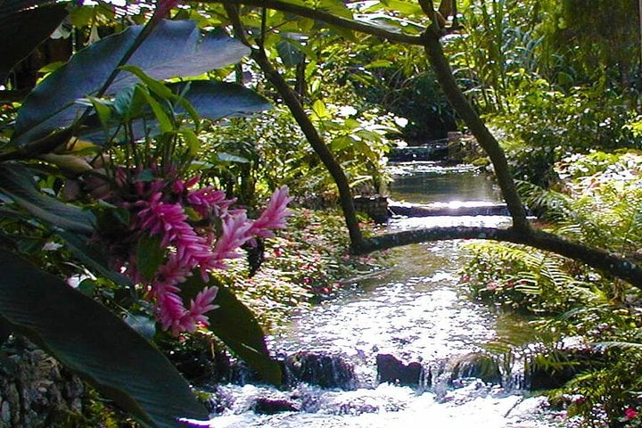 Blue Hole and Konoko Falls in Ocho Rios, photo 3