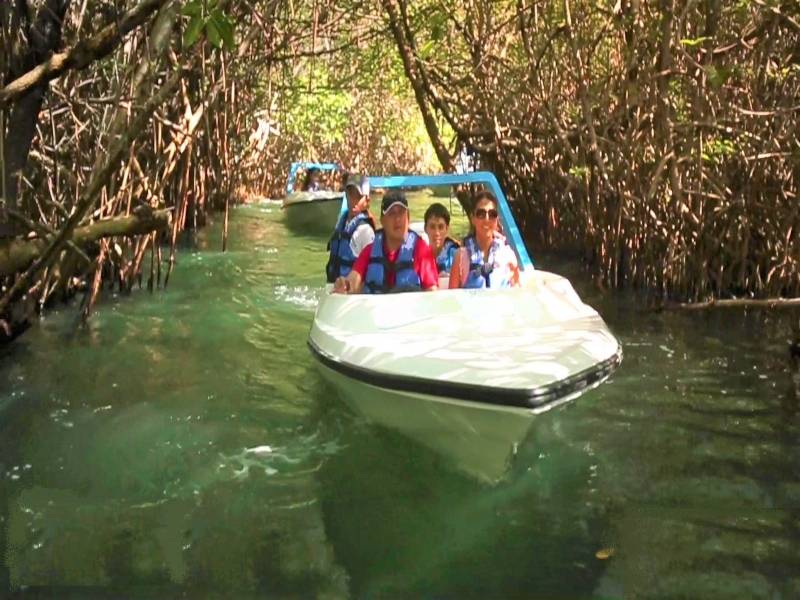 Jungle Speedboat and Snorkelling Tour in Cancún, photo 5