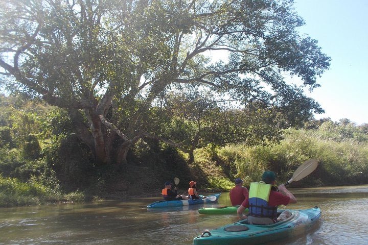 Leisure Mae Taeng Forest Reserve Kayak Day in Chiang Mai, photo 5