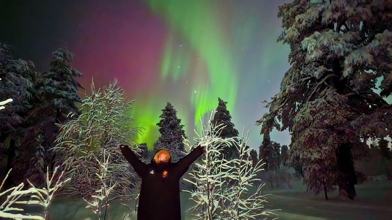 Northern Lights Aurora Hunt from Rovaniemi Lapland, photo 3