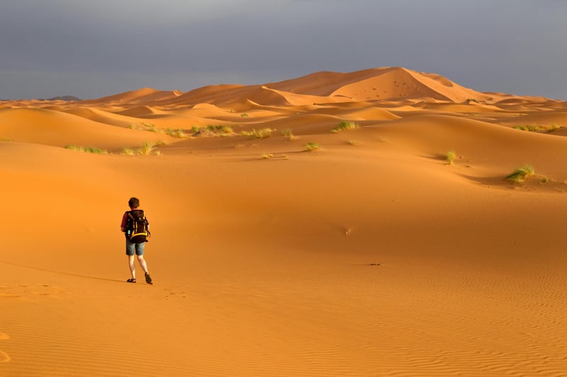 Desert Hiking in the Mhamid Dunes, photo 3