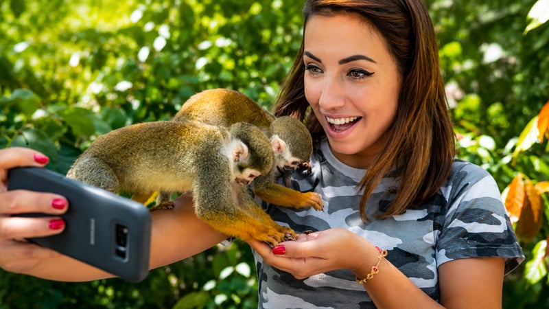 Monkeyland and Zip Line Adventure from Punta Cana, photo 3