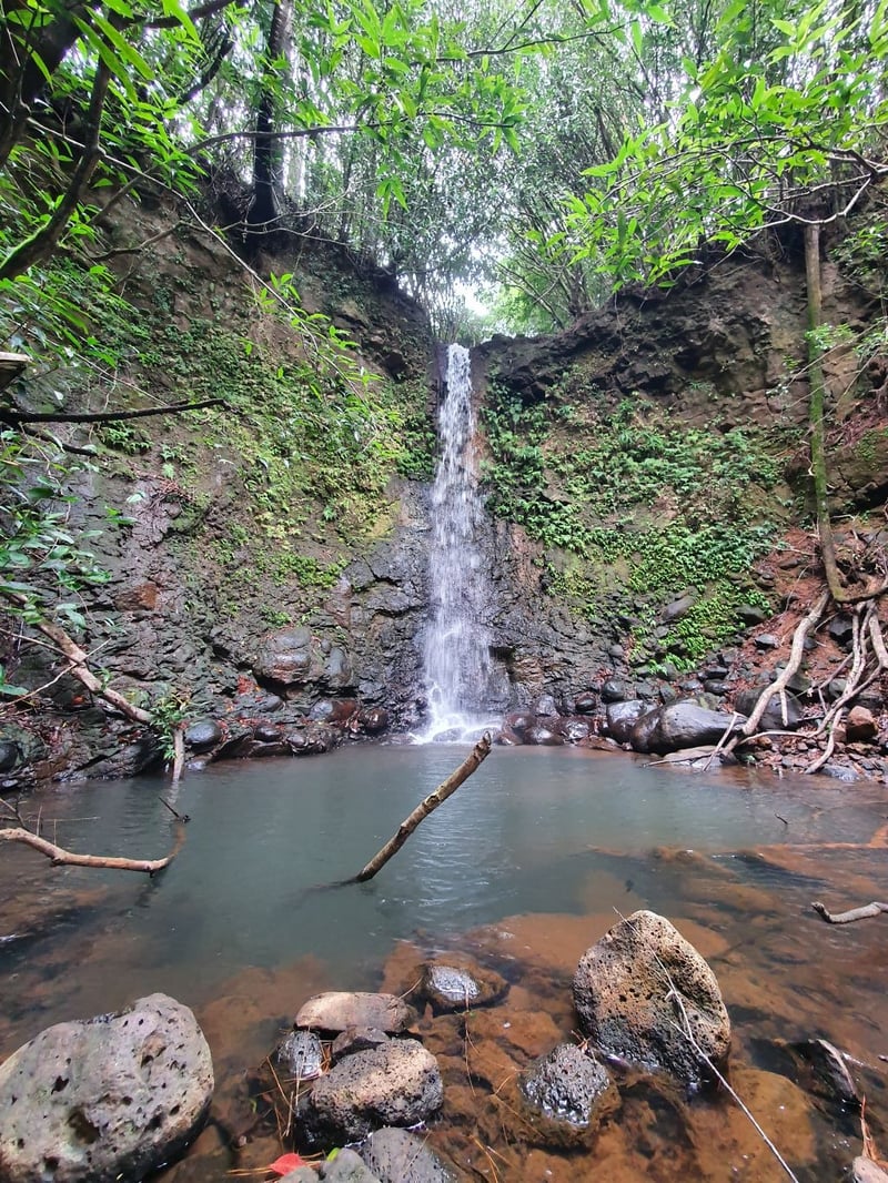 Waterfall Hiking at Rioux Falls in La Flora, photo 4
