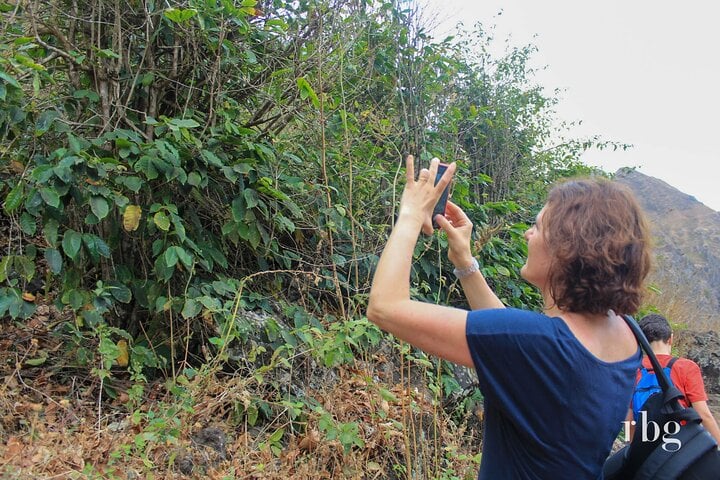 Serra Malagueta to Vale de Gongon Hike, photo 5