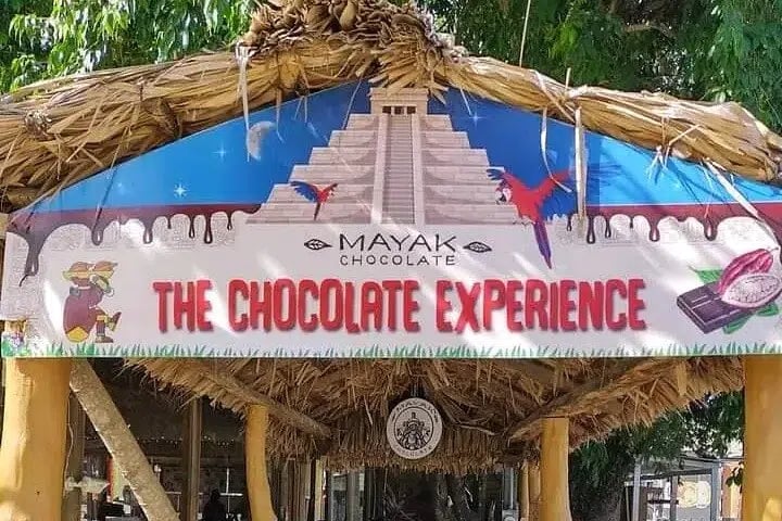 ATV Jungle Tour with Sloths, Monkeys and Chocolate Rum Tasting in Roatan, photo 5