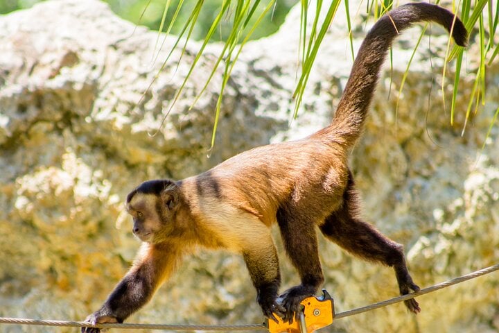 Family Adventure Day in Punta Cana, photo 2