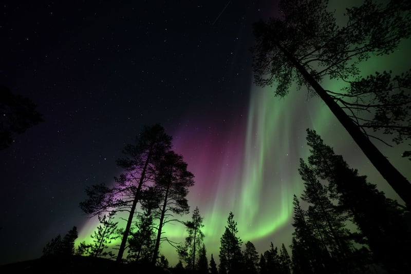 Northern Lights Aurora Hunt from Rovaniemi Lapland, photo 2