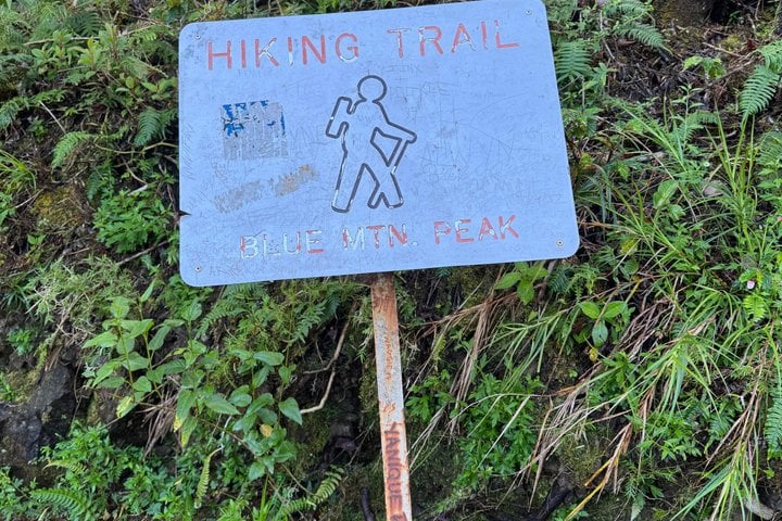 Blue Mountain Hiking and Coffee Tour, photo 3