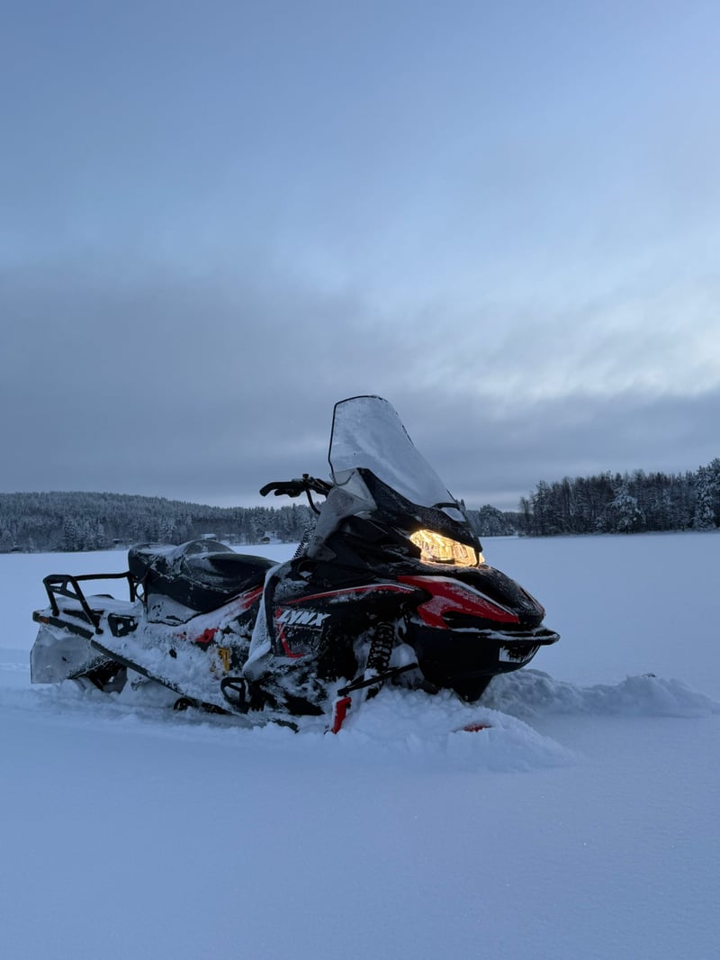 Escursione artica in motoslitta a Rovaniemi, foto 5