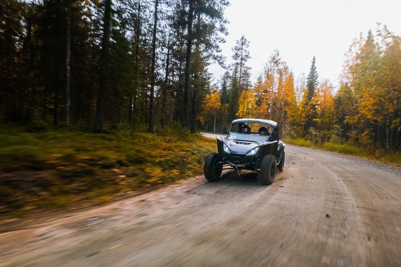 Tour privato in ATV/UTV con fuoco da campo e barbecue a Levi, foto 3