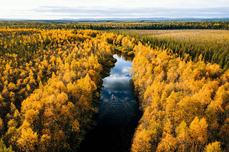 Sunrise Canoeing Adventure in Levi, photo 3