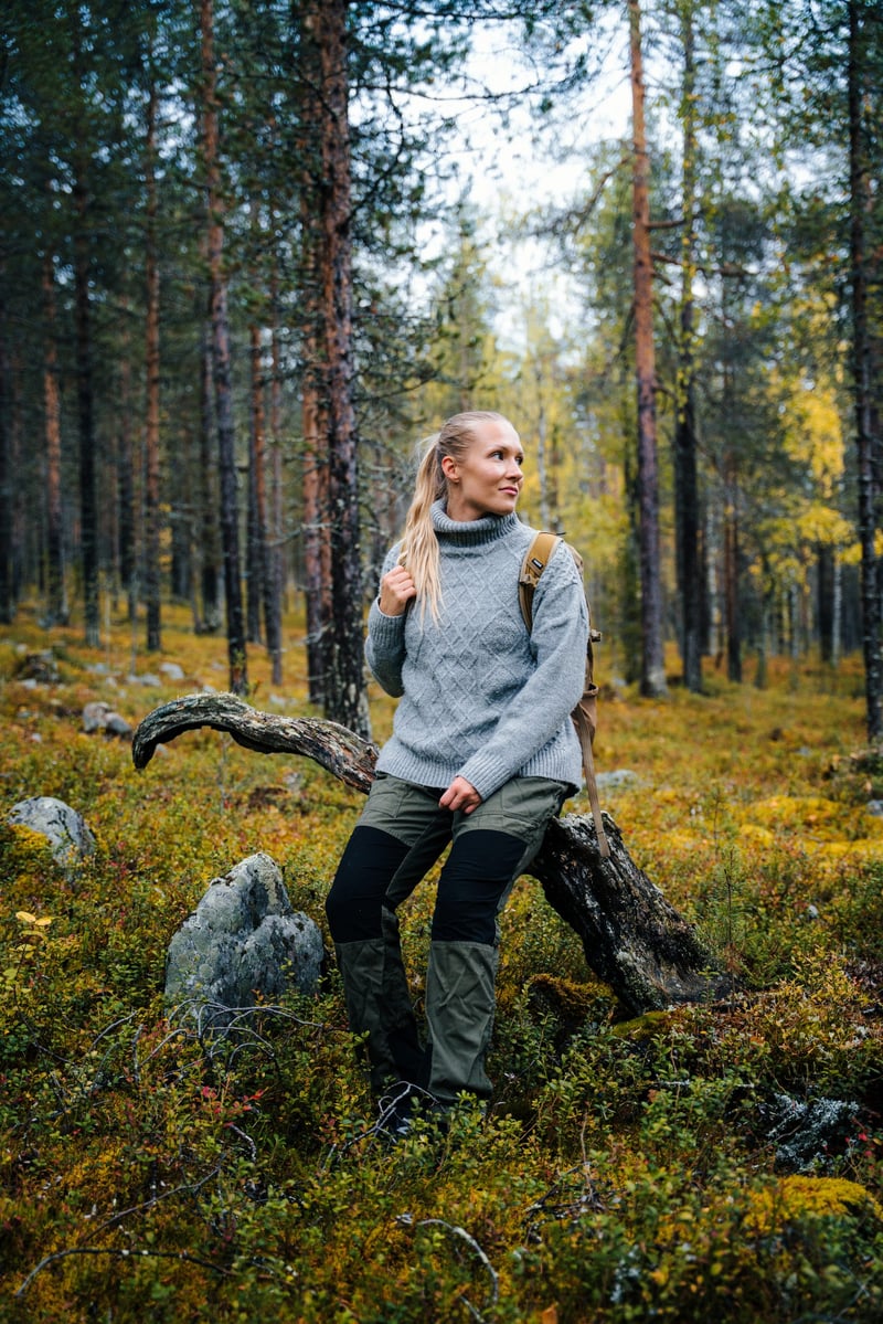 Sightseeing and Hike to Sarkifell with BBQ in Levi, photo 3