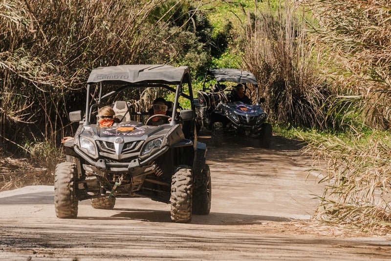 Two Hour Quad Safari in Mijas, photo 4