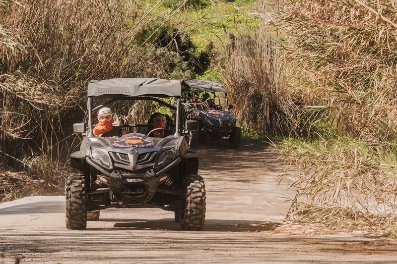 Two Hour Quad Safari in Mijas, photo 3