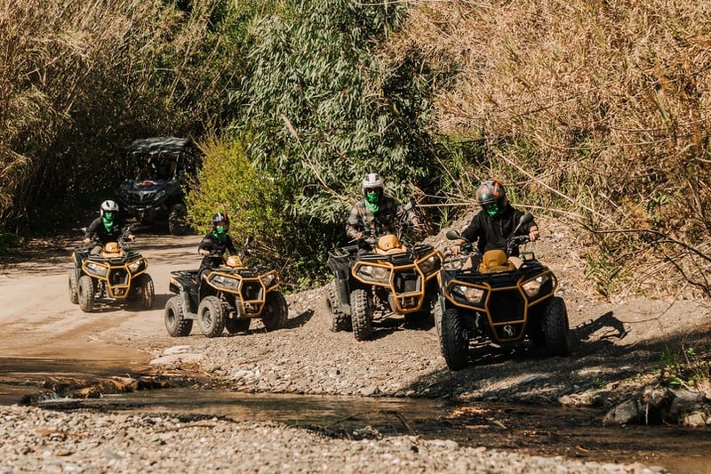 Safari in quad di tre ore a Mijas, foto 3