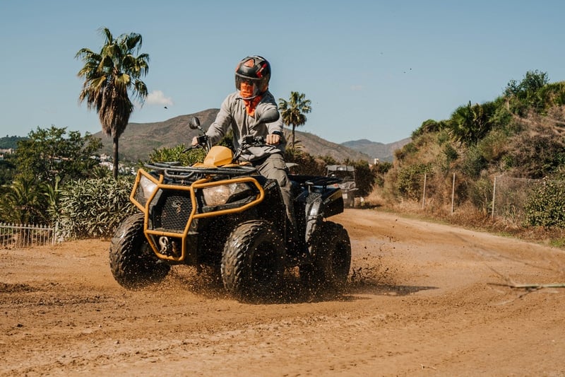 Safari in quad di tre ore a Mijas, foto 5