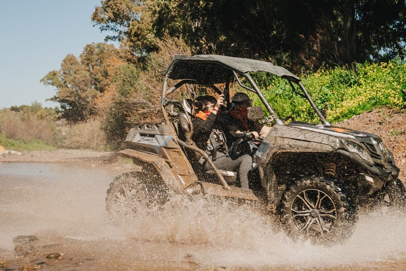 Safari in quad di tre ore a Mijas, foto 4