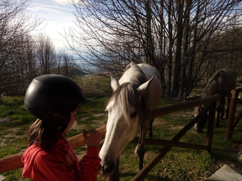 Horse Riding Session in Cabezabellosa, photo 4