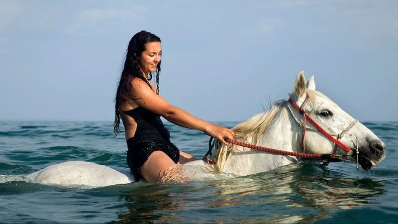 Swimming by Horse: 3 Hours on Beach and Desert with Transfer in Hurghada, photo 2