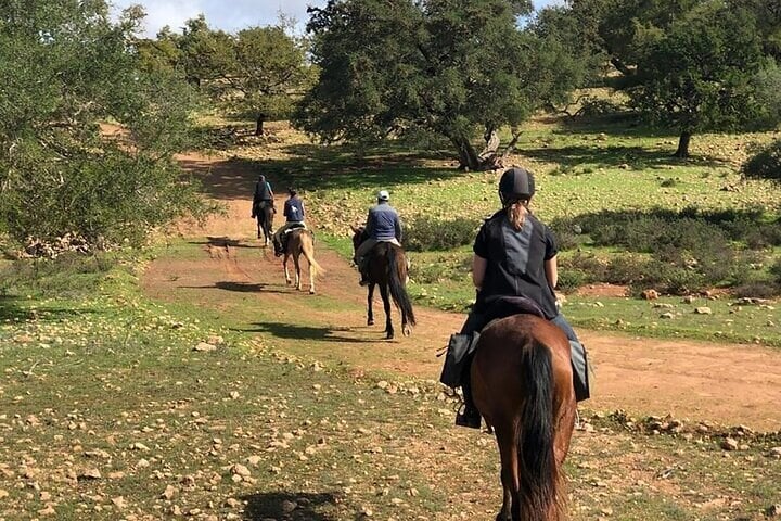 Discover Forests & Rivers with 2 Hours Horseback Riding – Agadir, photo 2