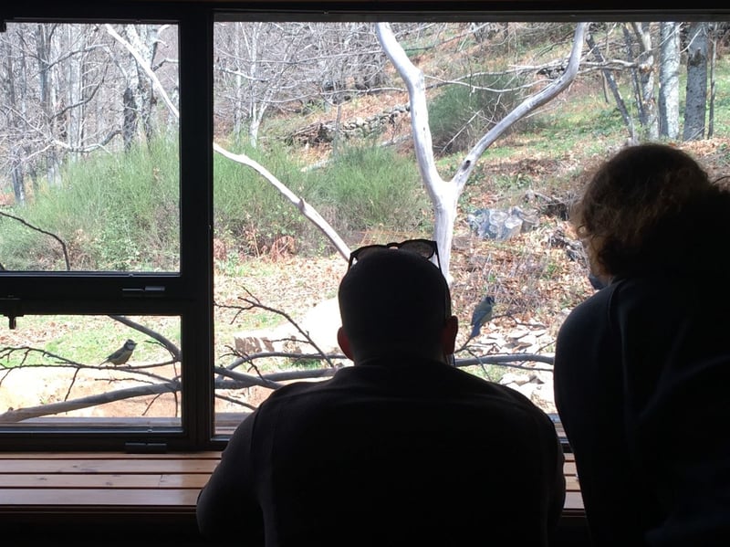 Birdwatching Hike in Cabezabellosa, photo 4