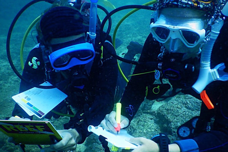 PADI Instructor Development Course in Cabo de Palos, photo 3