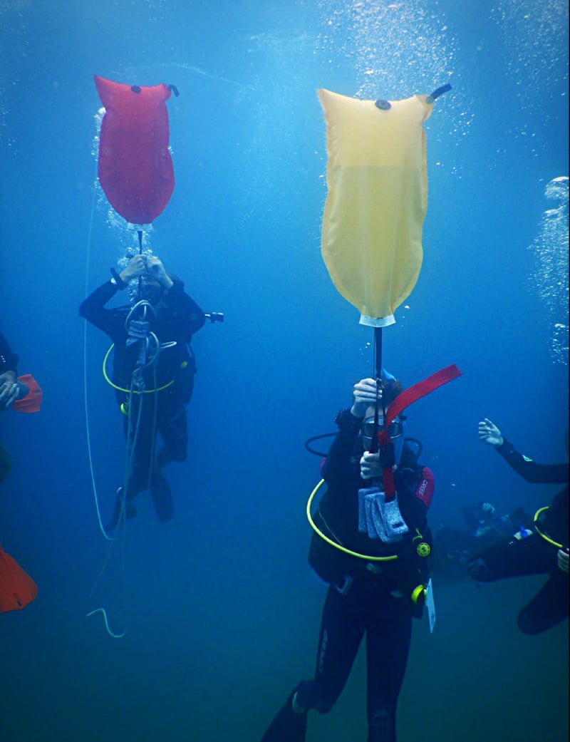 Scuba Skills Refresh Dive in Cabo de Palos, photo 2