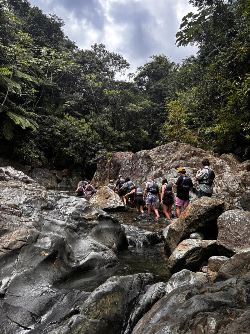 Top Rated El Yunque Rainforest & Waterslide - Small Group Tour, photo 2