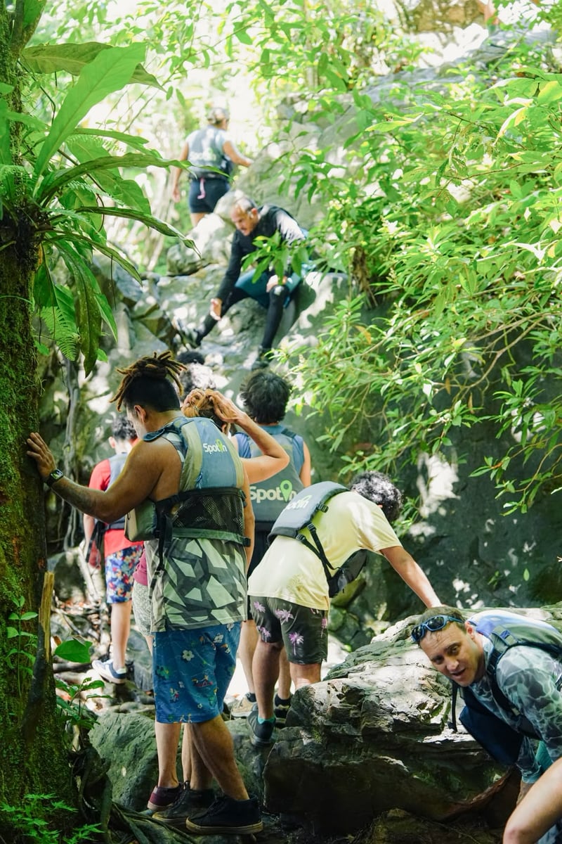 Top Rated El Yunque Rainforest & Waterslide - Small Group Tour, photo 4