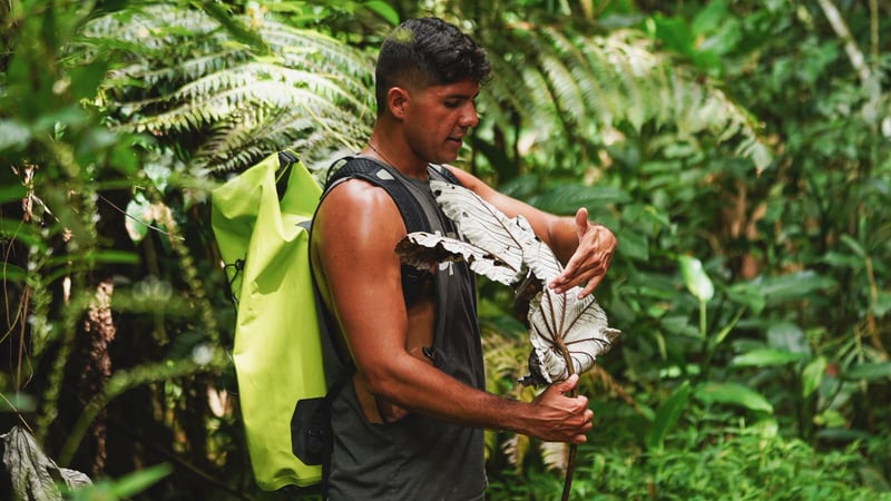 Half-Day El Yunque Rainforest Hike and Waterslide in Fajardo, photo 2