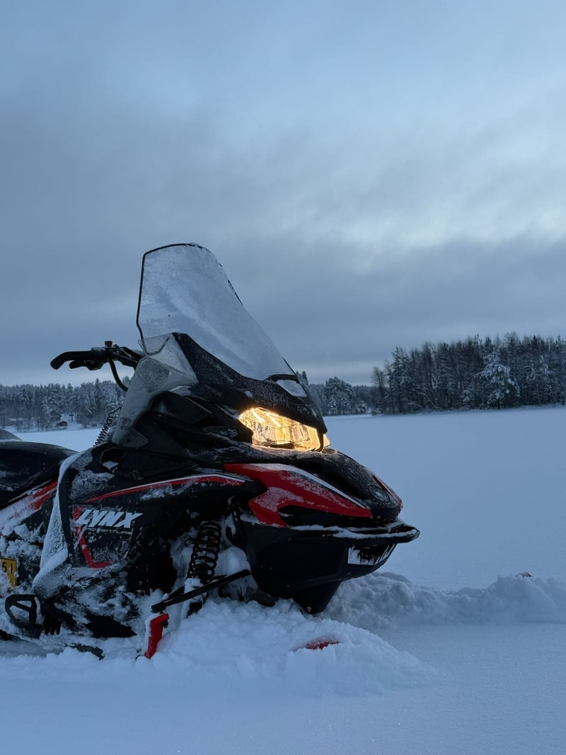 Gita privata in motoslitta a Lehtojärvi, foto 4