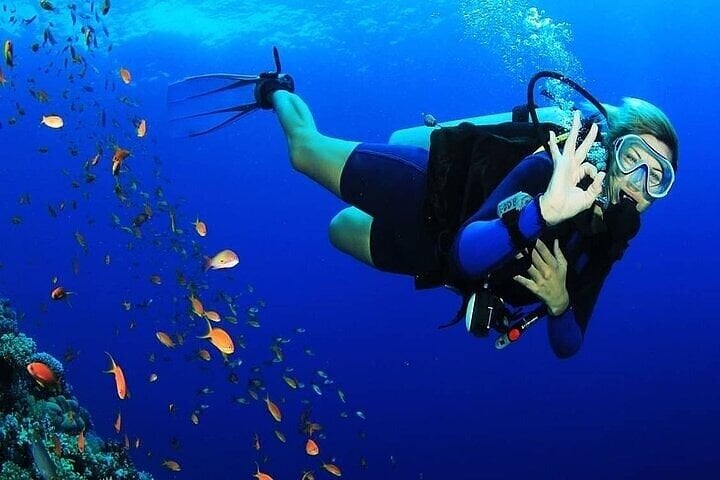 PADI Advanced Open Water Diving Course in the Red Sea in Sharm El Sheikh, photo 2
