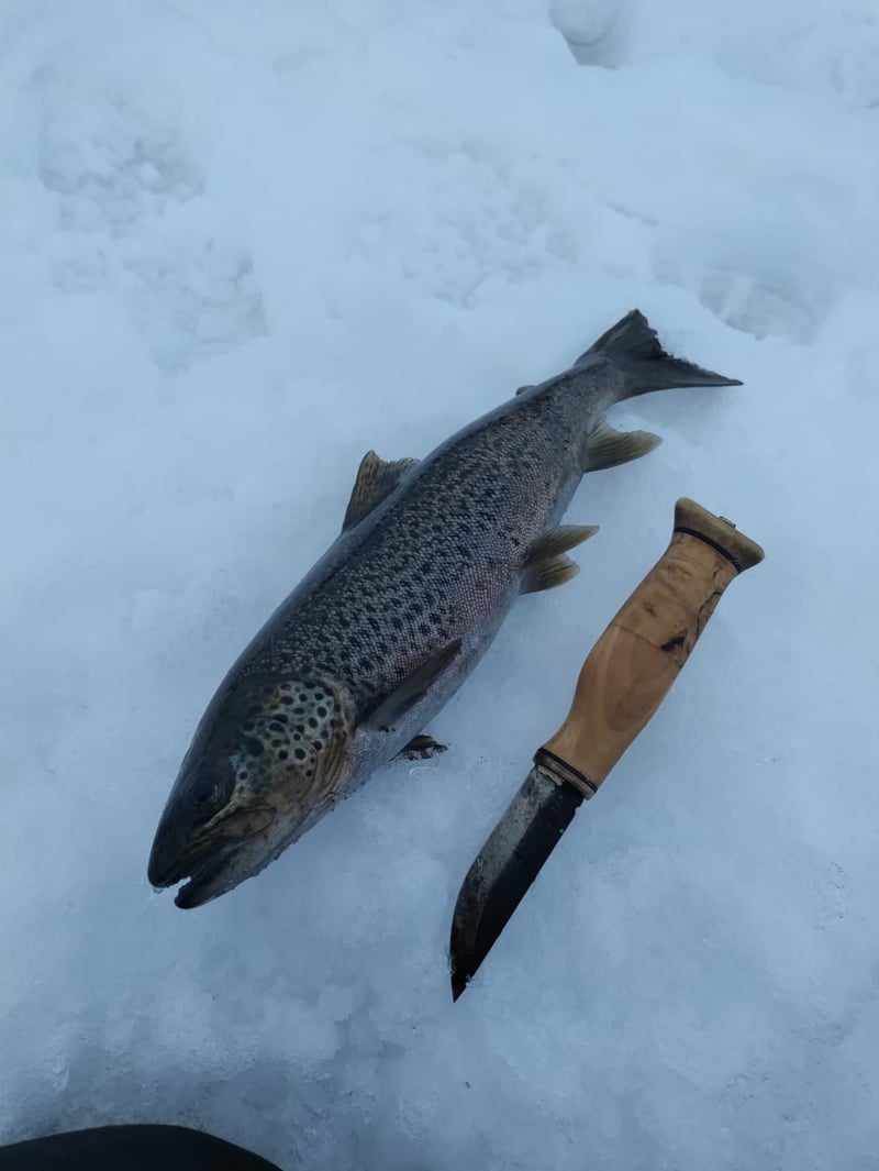 Ice Fishing in Rovaniemi, photo 5