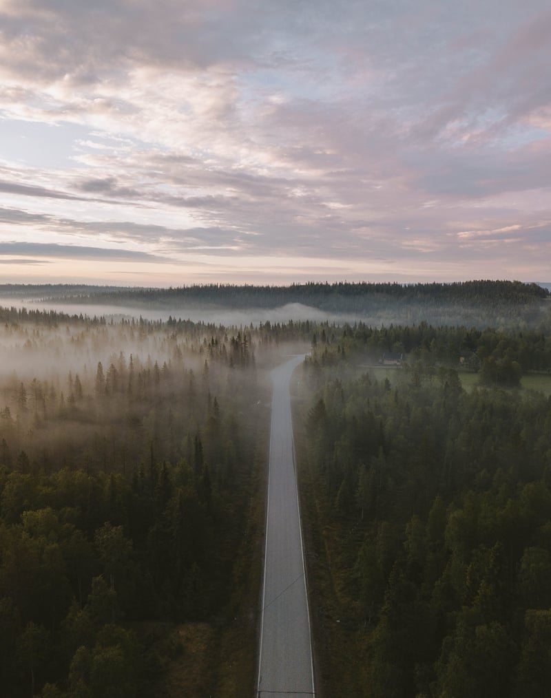 Midnight Sun Gravel Ride in Ruka Kuusamo, photo 4