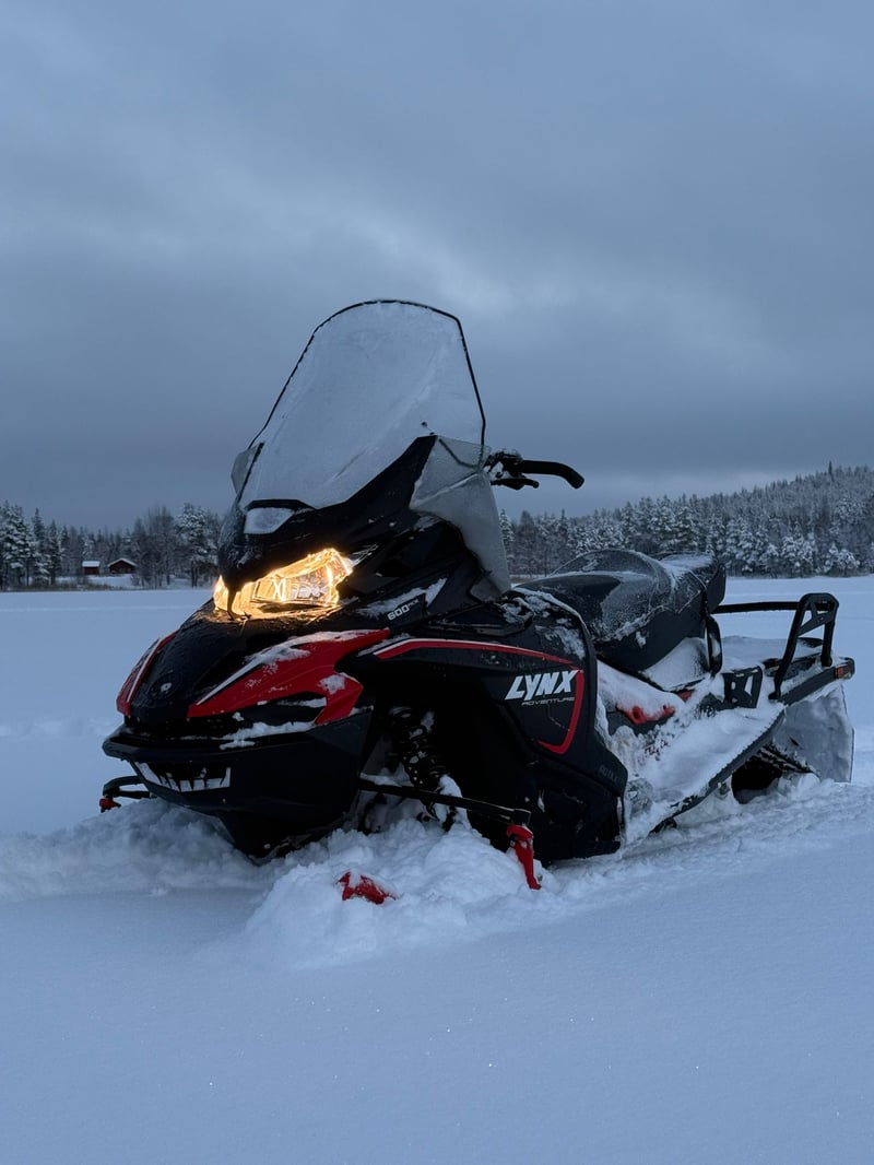 Gita privata in motoslitta a Lehtojärvi, foto 3
