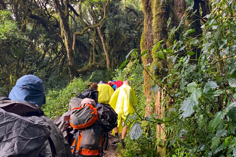 Six Day Marangu Hut Mountaineering in Moshi, photo 4