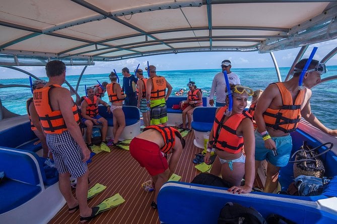 Whale Shark Encounter in Isla Mujeres, photo 2