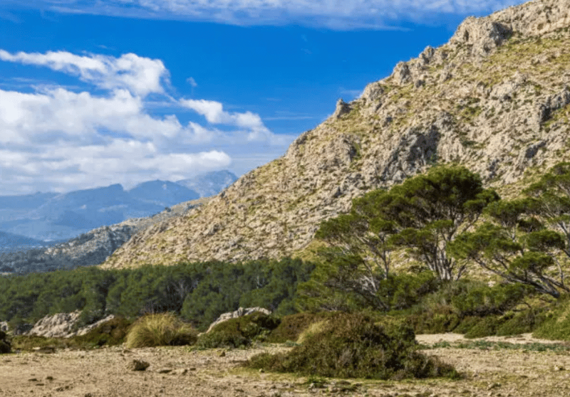 Coastal Valley Hike in Port de Pollença, photo 3