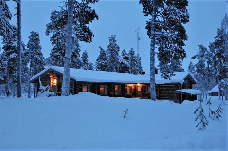 Heart of Wilderness Snowmobile Adventure in Rovaniemi, foto 3