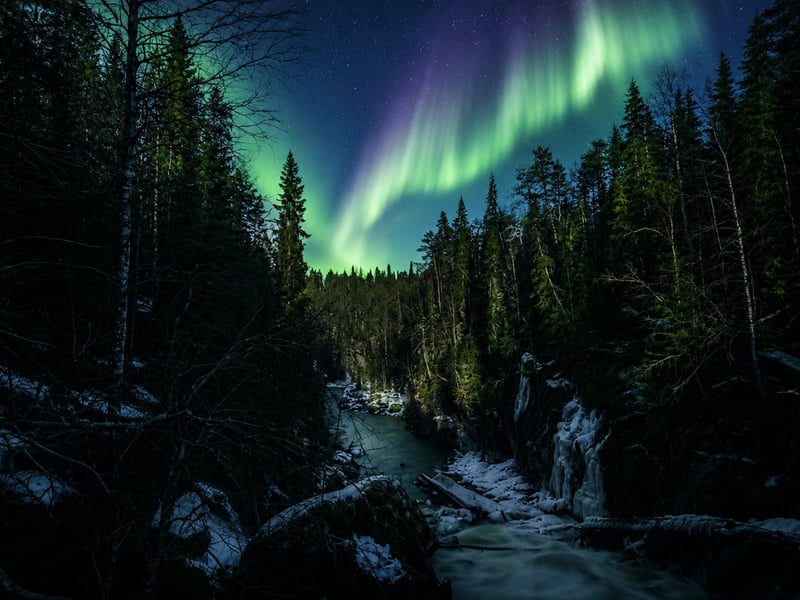 Auttiköngäs Northern Lights Night Hike in Rovaniemi, photo 5