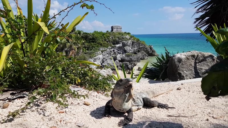 Tulum Ruins and Cavern Snorkel Private Tour in Tulum, photo 5