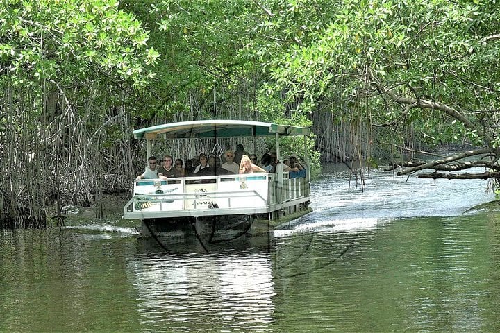 Private Waterfall Swimming and River Safari in Saint Elizabeth, foto 2