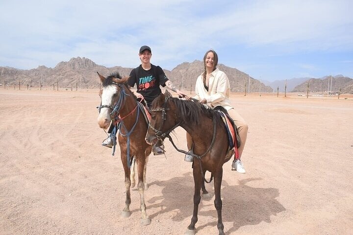 Hurghada : Horse Riding 2 Hours Sea & Desert with Transfer, photo 4