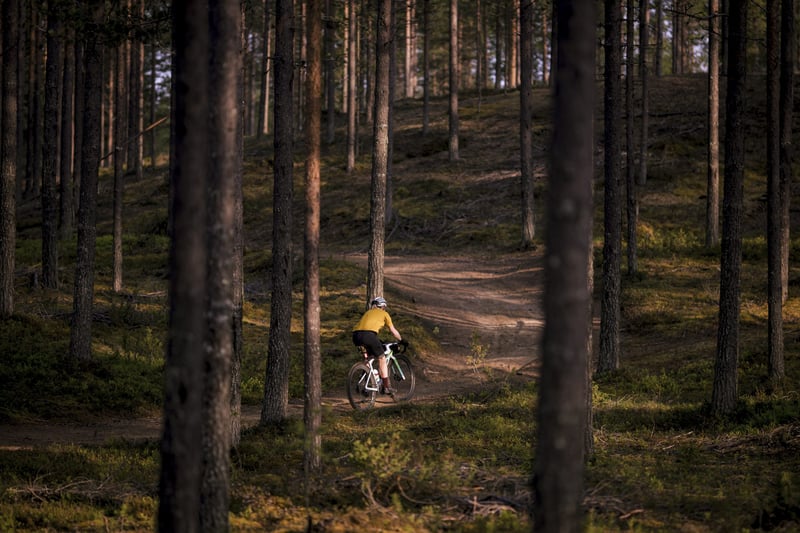Midnight Sun Gravel Ride in Ruka Kuusamo, photo 5