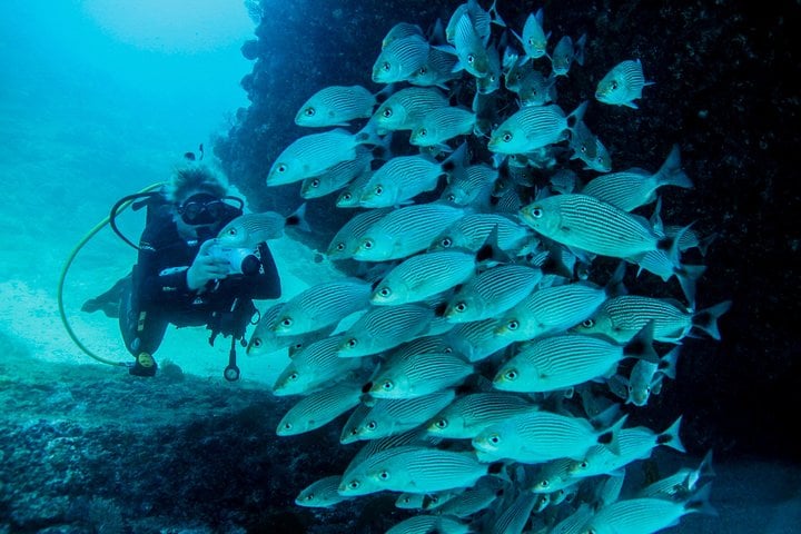 Scuba Diving at Los Arcos in Puerto Vallarta, photo 2