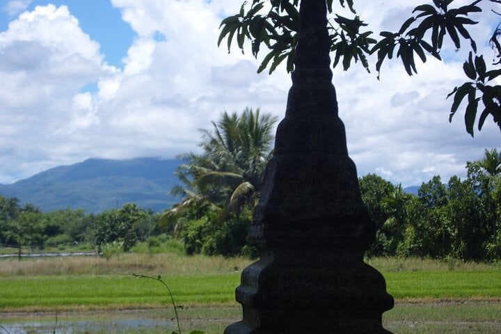 Half Day Rice Field Visions Guided Bike Tour in Chiang Mai, photo 4
